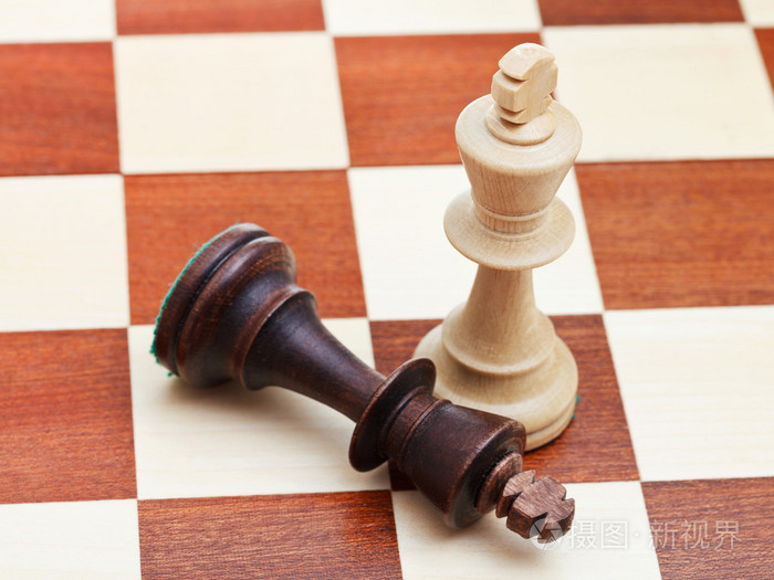 常设和堕落象棋王