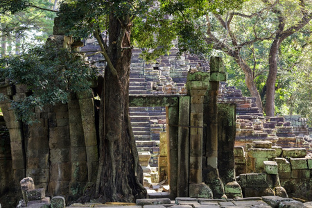 柏 pithu 寺