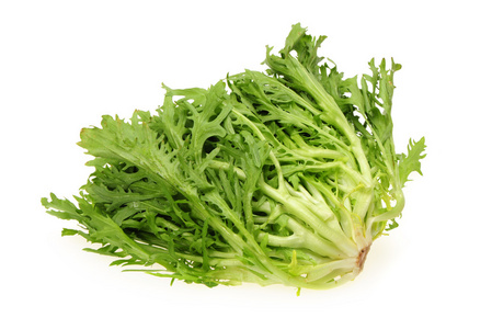 苣荬菜图片