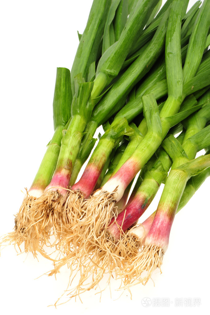 年轻的绿蒜叶上孤立的白色背景