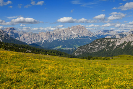 用鲜花山风景