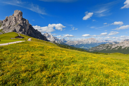 用鲜花山风景