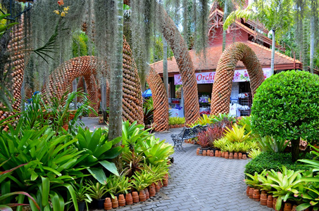 农东巴热带花园