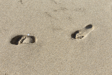 在海滩的人类脚印
