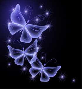 蝴蝶和星星图片