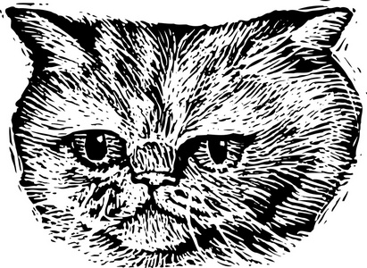 猫脸的木刻插图图片