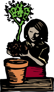 盆栽植物的木刻插图图片