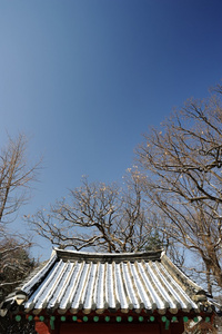 平铺的屋顶和晴朗的天空