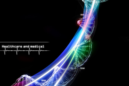 数字说明了 dna