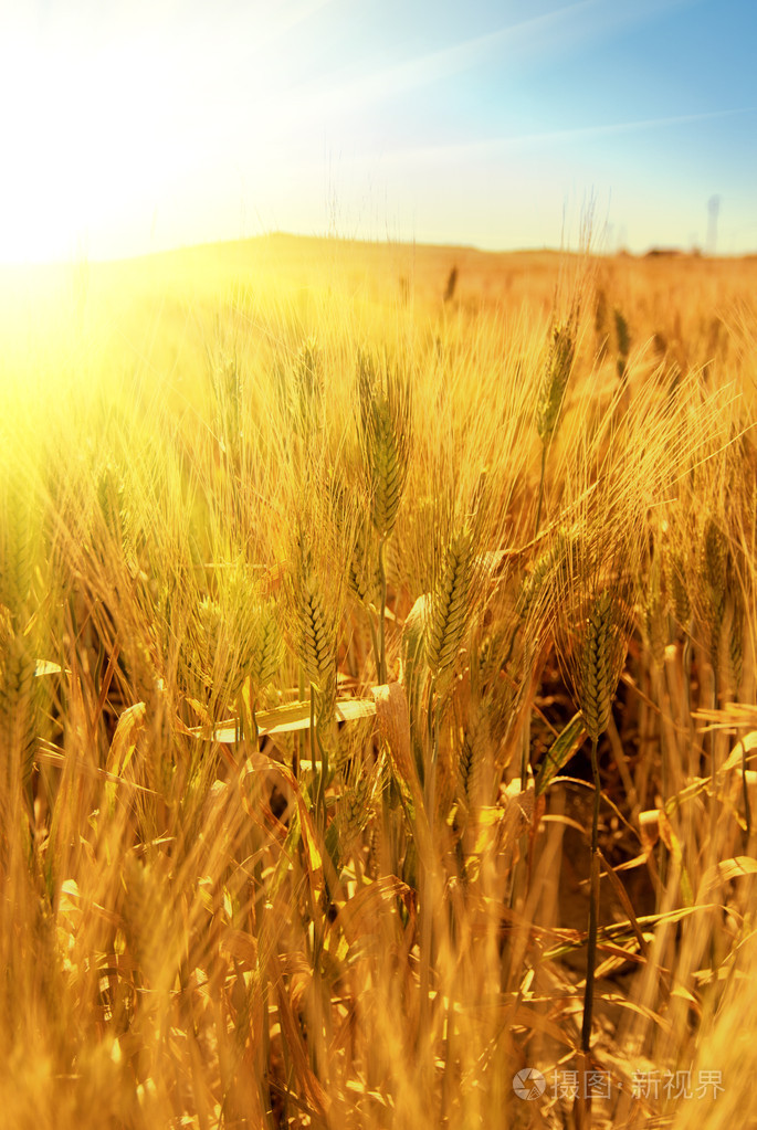 685_1023竖版 竖屏