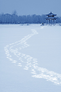 在中国北部雪的荒原