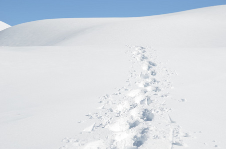 在雪地上的足迹