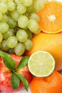 成熟的水果对健康的饲料