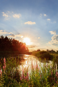 之前在巴伐利亚城堡 seehof 在 oberfranken 中的可爱落日的夕阳图片