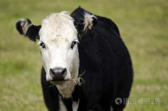 暂无图片作者lucidwaters新媒体授权标准授权扩展授权如何选择jpg大