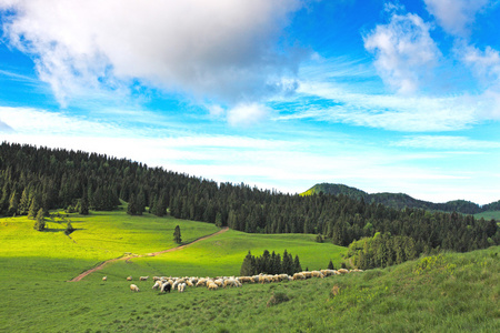 春天在 pieniny