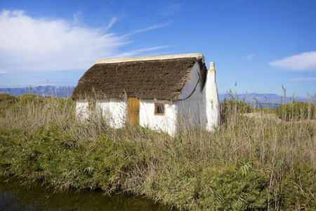 典型小屋的水稻耕种土地