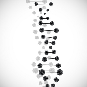 dna 分子