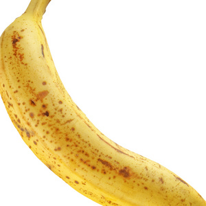 香蕉果实