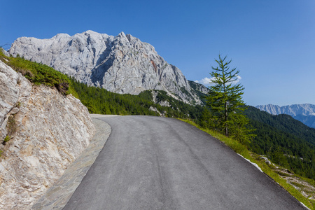 山風景  道路牛路爬在斯洛文尼亚triglav 国家公园