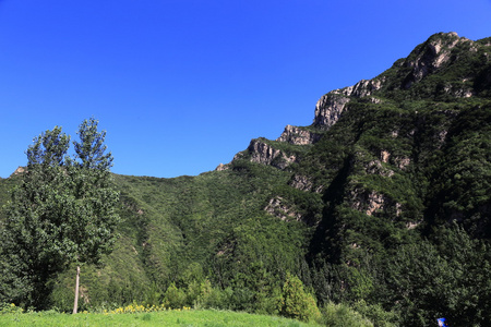 山的风景