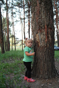 可爱的小金发女孩附近一棵树