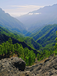 卡尔德拉 la palma de 连国家公园