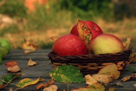 苹果与堕落秋天的木桌上叶