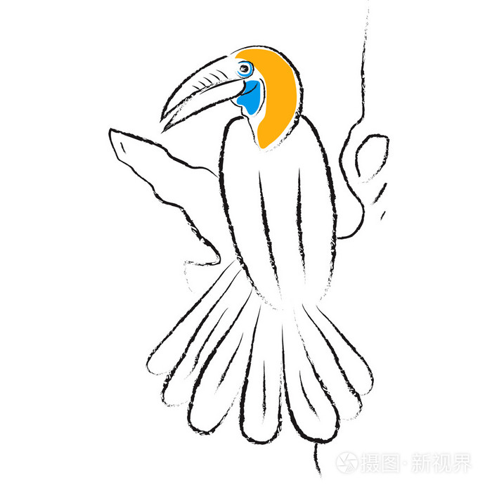 犀鸟矢量图像插画-正版商用图片1d03d5-摄图新视界