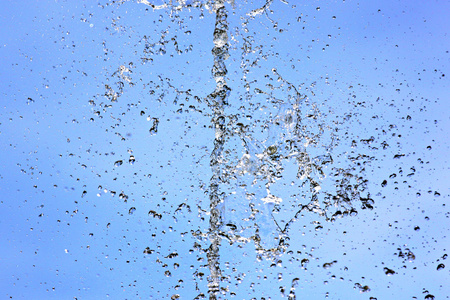 广泛蔓延的枝条水是广泛传播在蓝色背景上照片