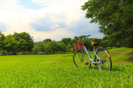 自行车在公园里
