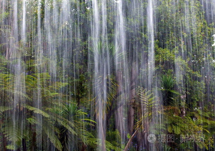 在丛林中的热带雨