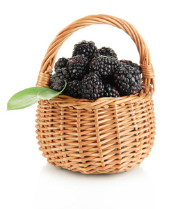 成熟黑莓在篮子上白色隔离