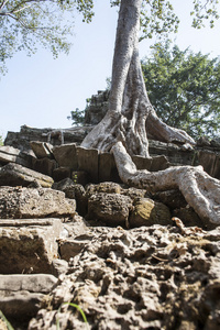 ta phrom。暹粒。柬埔寨