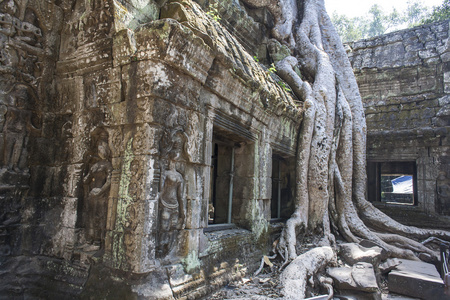 ta phrom。暹粒。柬埔寨