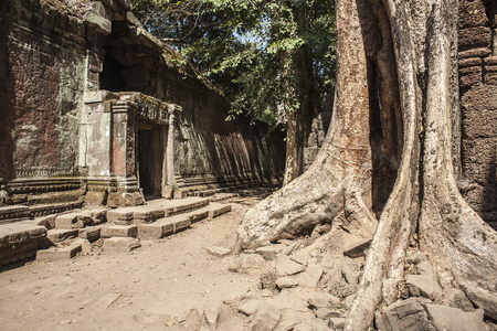 ta phrom。暹粒。柬埔寨