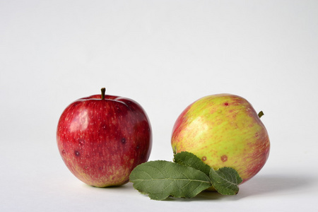 红苹果用白色背景上的叶子
