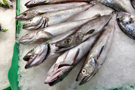 在西班牙的鱼市场