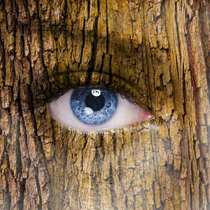 人脸的眼睛睁开覆盖在树的树皮纹理