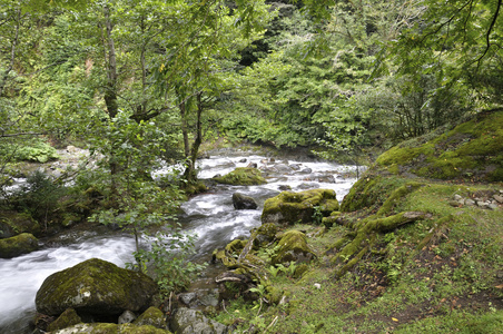 山区河流风景图片