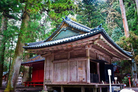 在冬天，日航，日本的东照宫神社里面小神龛