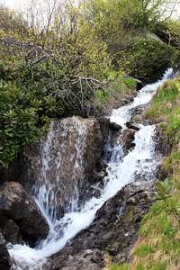 在山中河