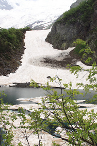 在山中湖