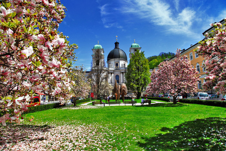 在萨尔茨堡，奥地利盛开的春天