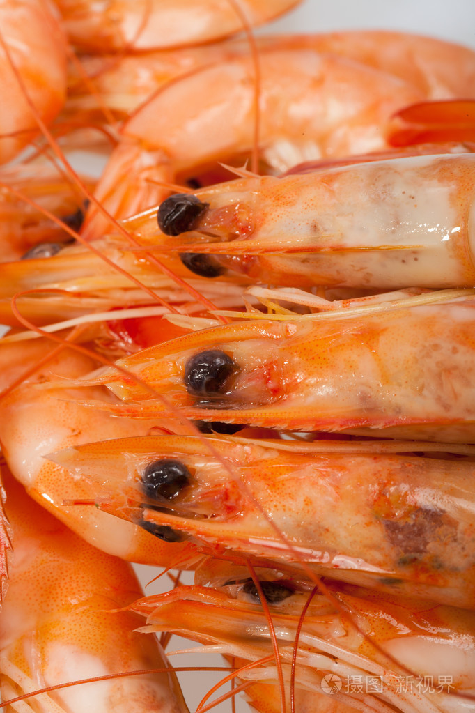 在白色背景上孤立的鲜虾