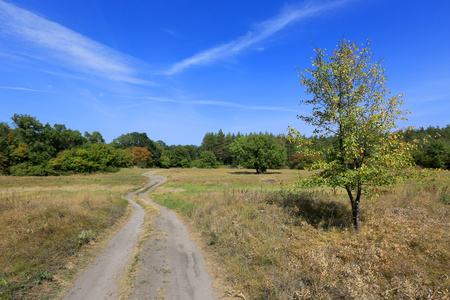 农村公路