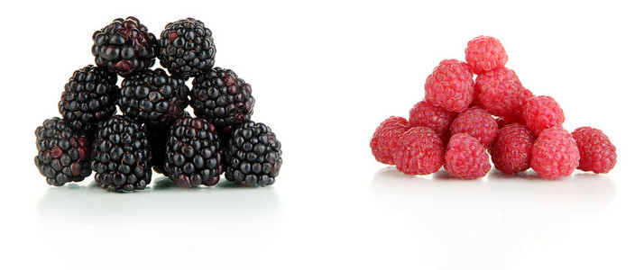 成熟的树莓和黑莓上白色隔离