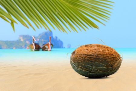 在皮皮岛海滩上椰子