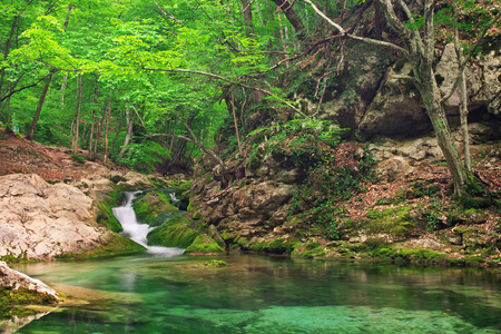 水在森林和山地形中的流。山区河流