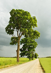 乡村道路